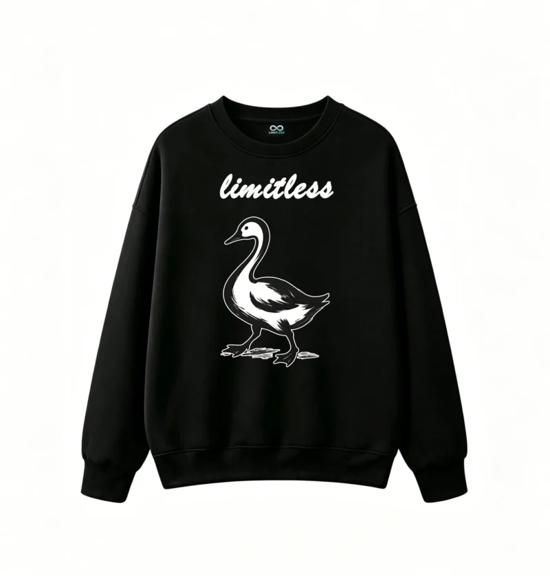 黑卫正 Stylized Monochromatic Bird Silhouette Goose Swan Brushstroke Texture Glossy Wet Effect Minimalist Dynamic Art Print Long Neck Curved Beak Streamlined Body Defined Wing Feathers Mid-Stride Motion Ripples Reflections Water Surface - Unisex Casual Hoodie Sweatshirt