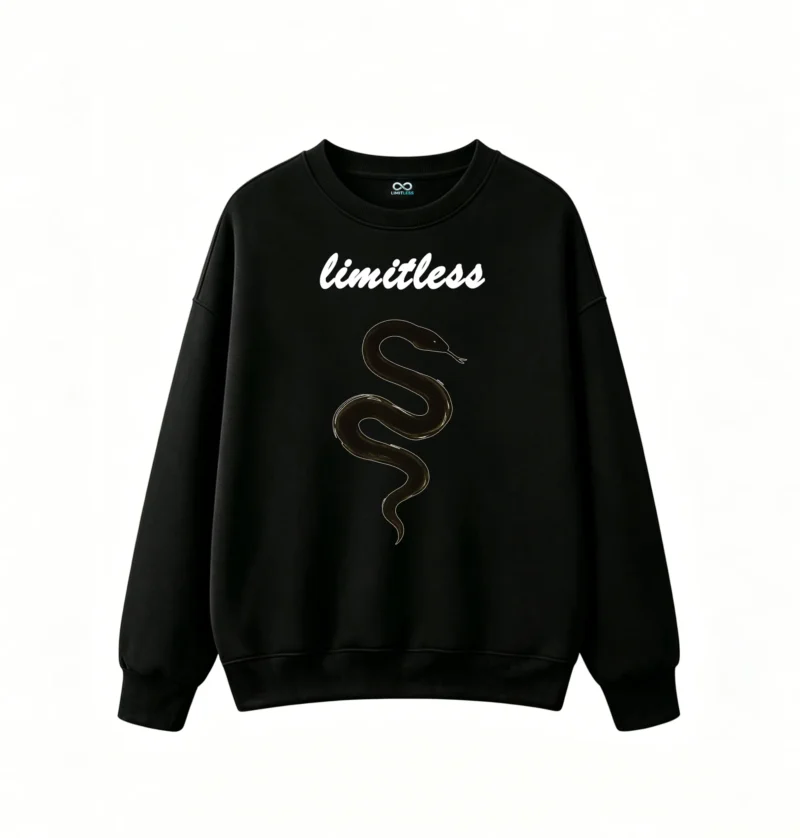 黑卫正 No-Brand Unisex Oversized Dark Glossy Eel Graphic Hoodie