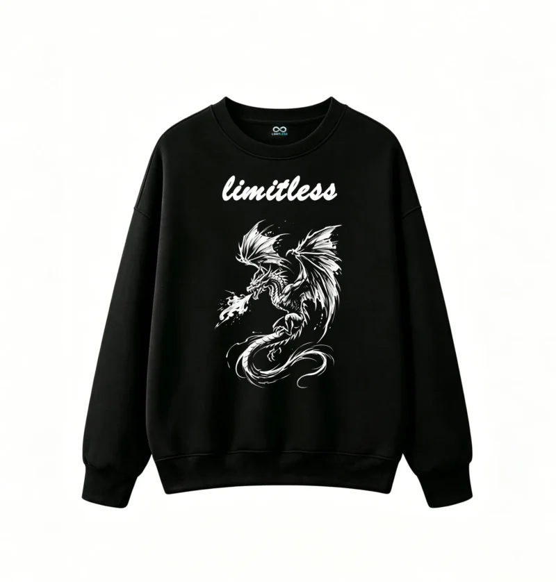 黑卫正 Fantasy Dragon High Contrast Black and White Illustration - Men's Oversized Graphic Hoodie