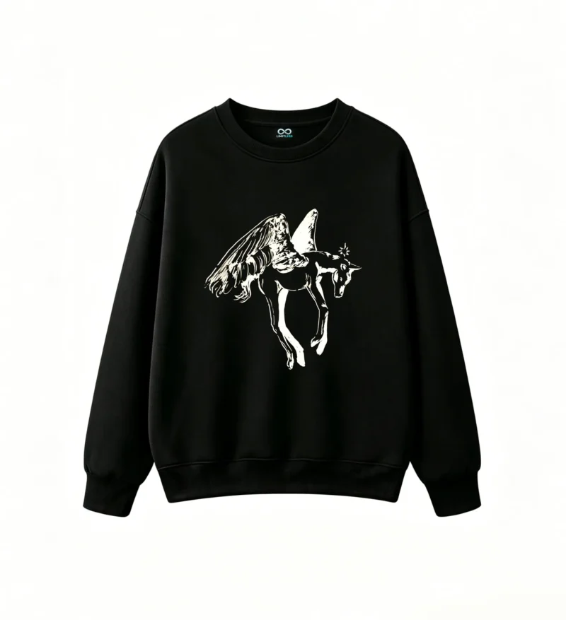 Mythical Winged Horse Pegasus Silhouette Hoodie