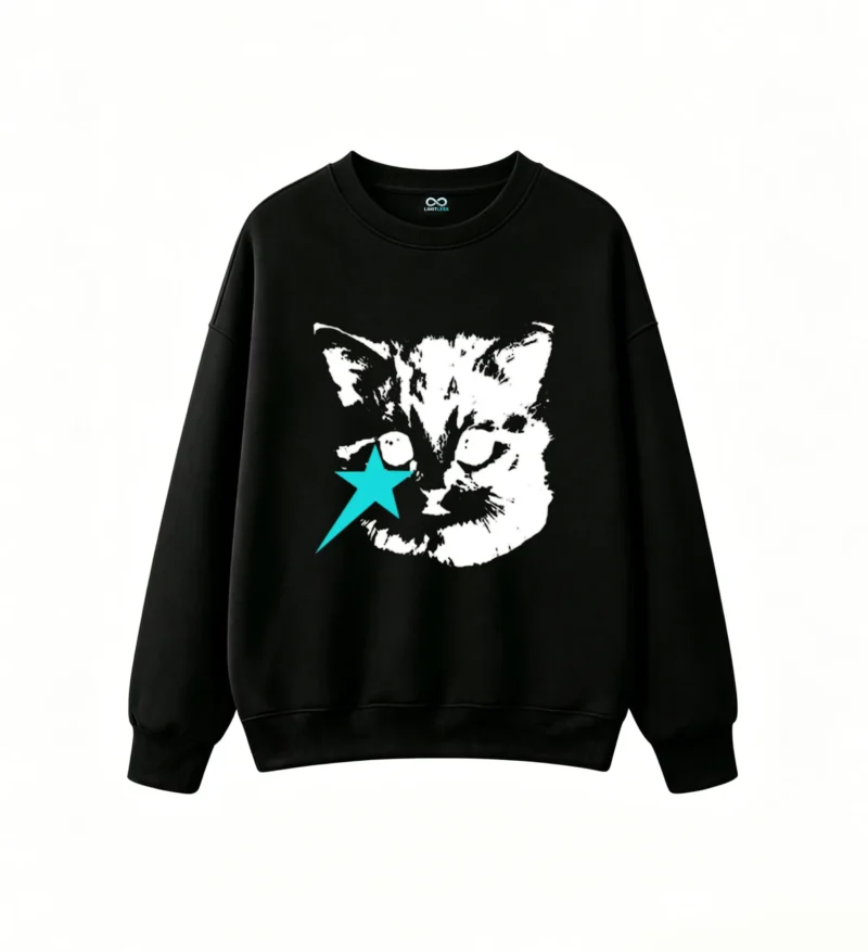 Cozy Unisex Hoodless Sweatshirt Soft Fleece Crew Neck Pullover for Men and Women