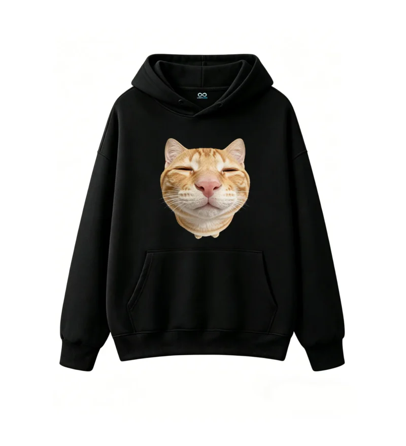 Funny Smiling Ginger Cat Hoodie